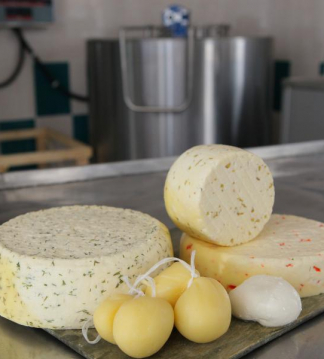 Сыр и творог производство